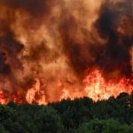 Η αντιμετώπιση των δασικών πυρκαγιών